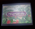 Donkey Kong Country 1 GBA Video Game Cartridge Game Boy Advance 2003 by VintageVideoGameStore