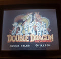 Double Dragon Advance GBA Video Game Nintendo Game Boy Advance 2003 by VintageVideoGameStore