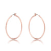 Elegant Hoop Earrings