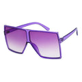 Sunglasses: Style 1345 by The House of Stylez