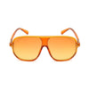Sunglasses: Style 1602