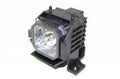 Projector Lamp for Epson V11H V11H146020; Epson V11H V11H145020; Epson PowerLite Powerlite 835P; Eps by Texas Depot