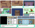 Pokemon Emerald Rogue GBA Pokemon ROM Hack Game Boy Advance by VintageVideoGameStore