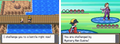Pokemon Pure Heart NDS Nintendo DS Custom ROM Hack Video Game by VintageVideoGameStore
