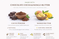 Chocolate Fudge Cocoa Shea Butter Bar Soap – Rich Nourishing Cleanse by Lulu’s Holistics