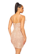 Feather & Sequin Dress by The House of Stylez