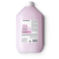 Goldwell DualSenses Color Brilliance Shampoo by The Warehouse Salon