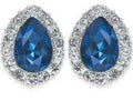Charter Club Crystal and Stone Earrings, Silver Tone by Vanessa Jane