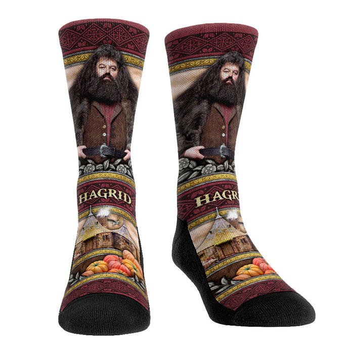 Harry Potter - Hagrid - Hero Pose by Rock 'Em Socks