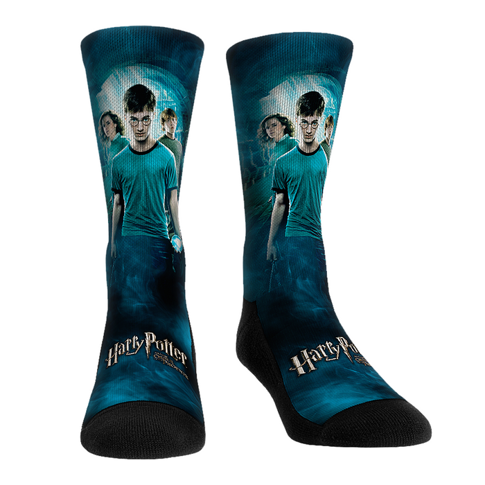 Harry Potter - Poster Series - The Order of the Phoenix by Rock 'Em Socks