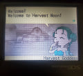 Harvest Moon DS NDS Video Game Cartridge Nintendo DS 2006 by VintageVideoGameStore
