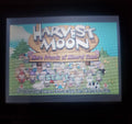 Harvest Moon More Friends of Mineral Town GBA Video Game Boy Advance by VintageVideoGameStore