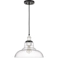 Hobbs Earth Black 1-light Mini Pendant by Vanessa Jane