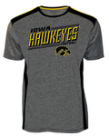 Old Varsity Iowa Hawkeyes Adult Men's T-shirt, Size Large by Vanessa Jane