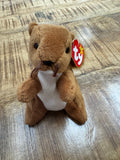 Nuts the Squirrel Beanie Baby ERRORS 9+ VERY RARE Retired 4114 TY 1996 PVC by Vanessa Jane