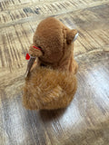 Nuts the Squirrel Beanie Baby ERRORS 9+ VERY RARE Retired 4114 TY 1996 PVC by Vanessa Jane