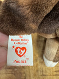 Ty Beanie Baby POUNCE the Cat 1997 with Tag Errors - RARE and RETIRED! by Vanessa Jane