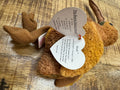 1998 Ty Beanie Baby Beak the Kiwi Bird Retired P.E. Pellets w/ Tag Errors by Vanessa Jane