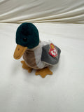 Ty Beanie Baby Jake The Mallard Drake Duck, 1997 1998 P.V.C. Pellets 14 Errors by Vanessa Jane