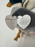 Ty Beanie Baby Jake The Mallard Drake Duck, 1997 1998 P.V.C. Pellets 14 Errors by Vanessa Jane
