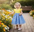 Blossom Organic Cotton Toddler Dress – Everyday Summer Dress for Girls by ozznekshoes