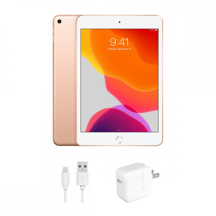 Apple iPad Mini 5 (2019) Refurbished - Excellent Condition by Texas Depot
