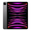 Apple iPad Pro 12.9 in. 6th Gen (2022) Refurbished - Excellent Condition