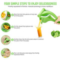 Portable Manual Press Juicer Extractor Squeezer Squash by DailySale
