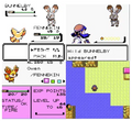 Pokemon Kalos Crystal GBC Video Game Gameboy Color ROM Hack by VintageVideoGameStore