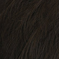 HIM Collection Chiseled Men's Wig Hairpiece - Average