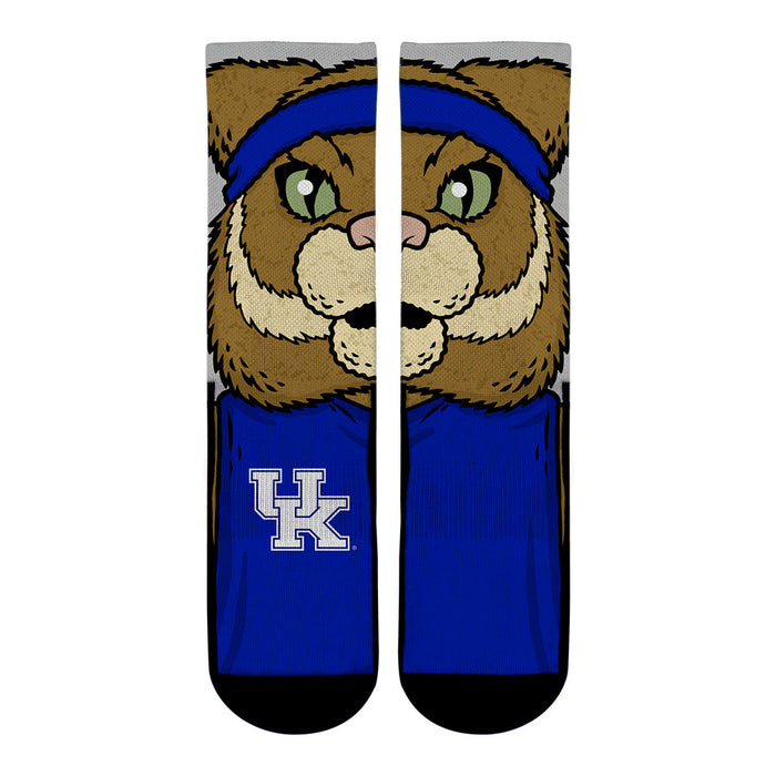 Kentucky Wildcats - Mascot by Rock 'Em Socks