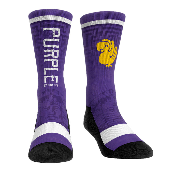Legends of the Hidden Temple - Jersey Series - Purple Parrots by Rock 'Em Socks
