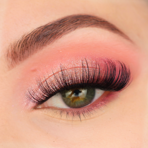Lily by Pink Purée