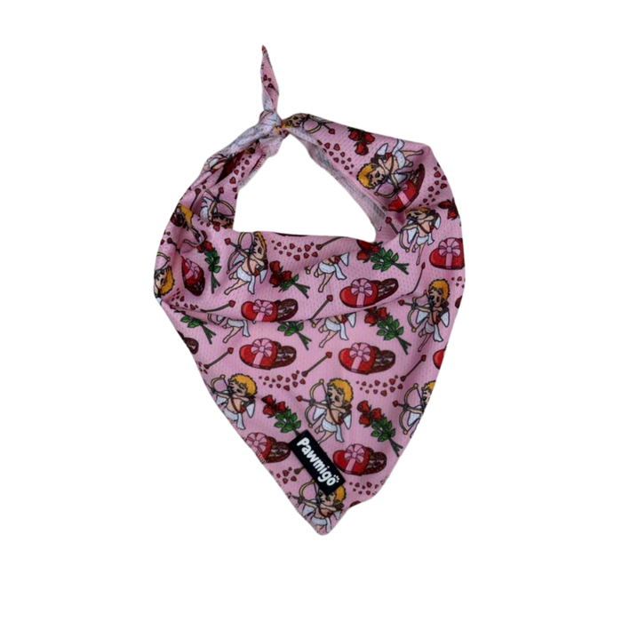 Lovestruck Bandana by Pawmigo