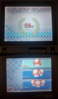 Mario Kart DS NDS Video Game Cartridge Nintendo DS 2005 by VintageVideoGameStore
