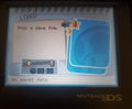 Mario and Luigi Partners in Time NDS Video Game Nintendo DS 2005 by VintageVideoGameStore