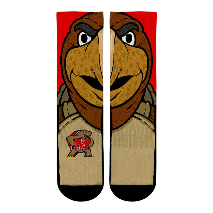Maryland Terrapins - Testudo Mascot by Rock 'Em Socks