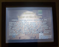 Medal of Honor Infiltrator GBA Video Game Boy Advance Nintendo 2003 by VintageVideoGameStore