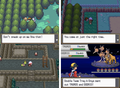 Pokemon Pure Heart NDS Nintendo DS Custom ROM Hack Video Game by VintageVideoGameStore