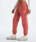 The North Face Womens Evolution Simple Dome Pant | Elastic Waistband with Adjustable Drawcord, Hand Pockets, Elasticated Cuffs by I-Max Fashions