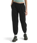 The North Face Womens Evolution Simple Dome Pant | Elastic Waistband with Adjustable Drawcord, Hand Pockets, Elasticated Cuffs by I-Max Fashions