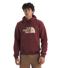 The North Face Men's Evolution Edge of Light Half Dome Hoodie by I-Max Fashions