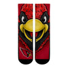 Arizona Cardinals - Split Face Mascot