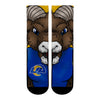 Los Angeles Rams - Split Face Mascot
