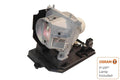 Projector Lamp for NEC U U310W; NEC U U300X; NEC NP-U NP-U310X; NEC NP-U NP-U300X; Optoma EW EW675UT by Texas Depot