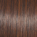 Raquel Welch Upstage Wig, New With Tags - Petite