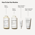 Olaplex The Healthy Hair Cleansing Set by Nava Beauty