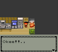 Pokemon Orb Version GBC Video Game Gameboy Color ROM Hack by VintageVideoGameStore