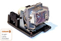 Projector Lamp for Promethean PRM PRM35CV1; Promethean PRM PRM35C; Promethean PRM PRM35A; Promethean by Texas Depot