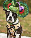 Jurassic Bark Reversible Harness by Pawmigo